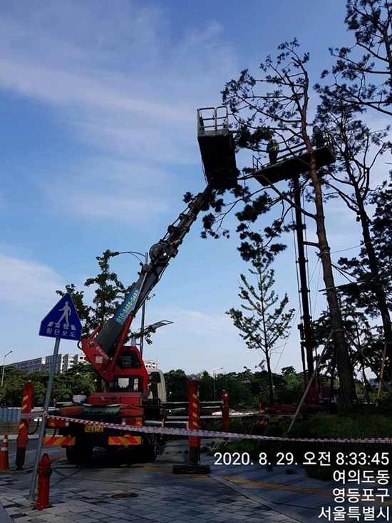 스카이차 PC 이미지 1044908