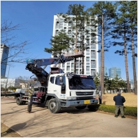 스카이차 PC 갤러리 1